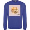 Pro sweatshirt Thumbnail